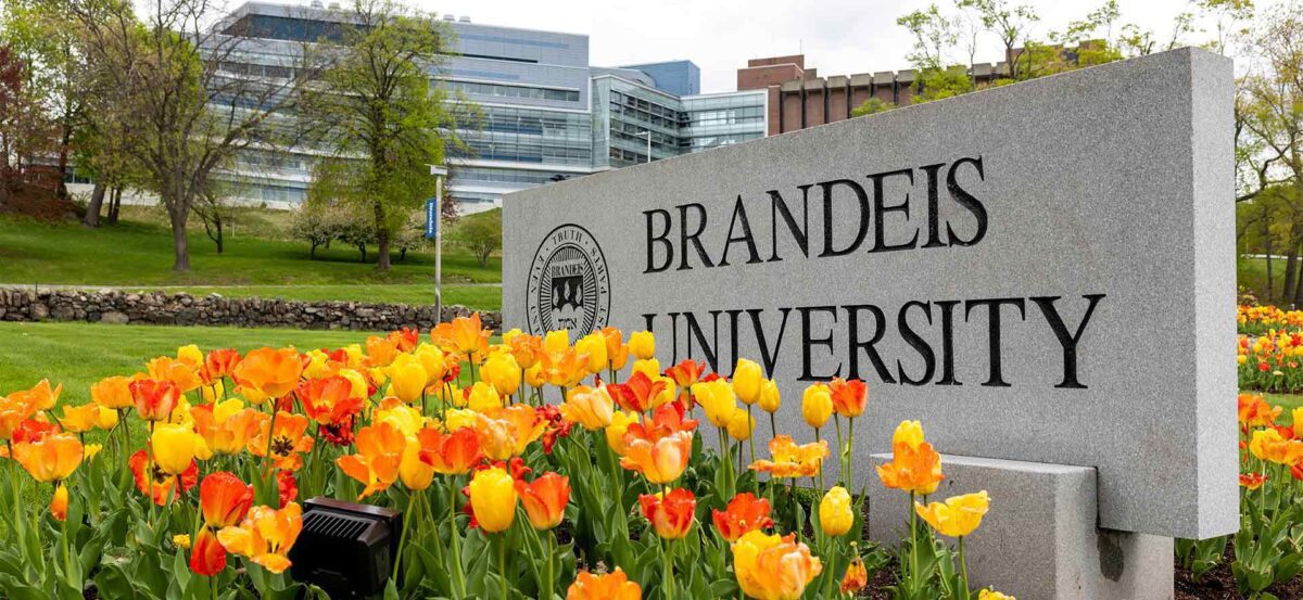 Brandeis University Massachusetts admission 2026-27 courses and eligibility